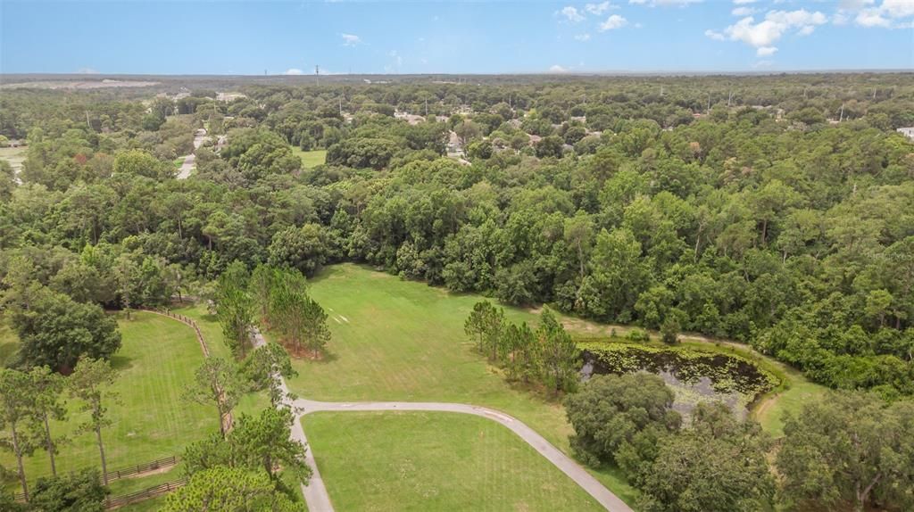 Aerial view from ABOVE the house out towar the front of the property- Pond to the right