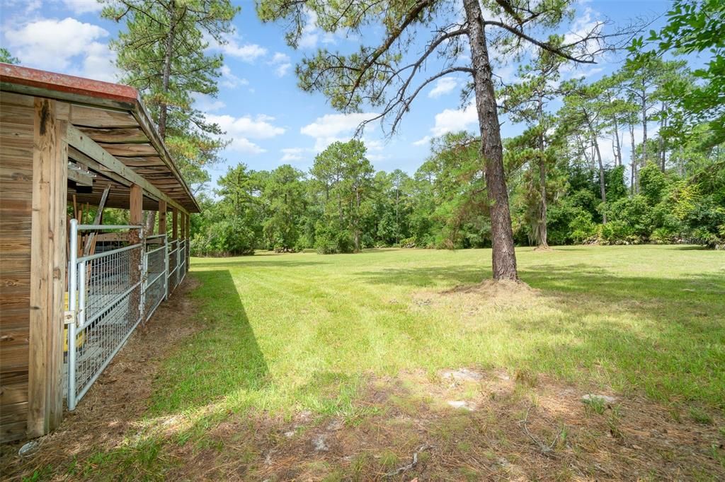 Stalls and stable in left rear pasture