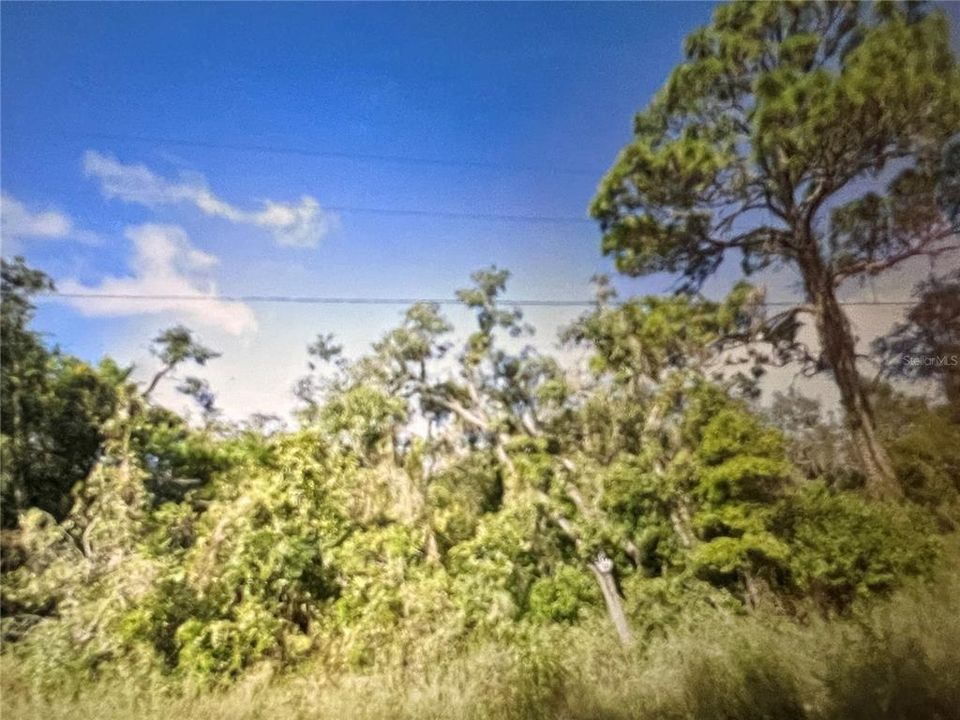 En Venta: $41,999 (0.35 acres)