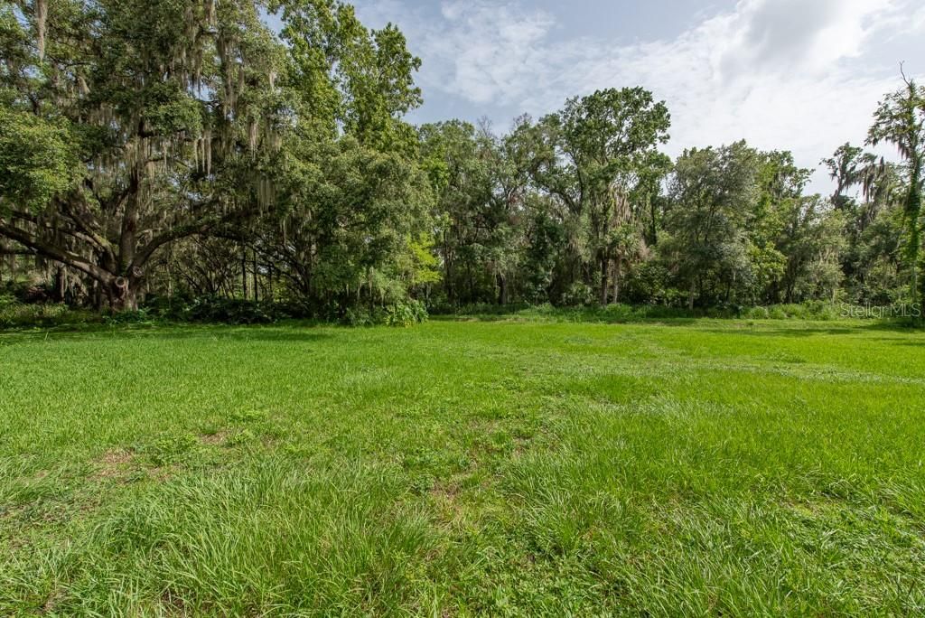 For Sale: $160,000 (3.59 acres)