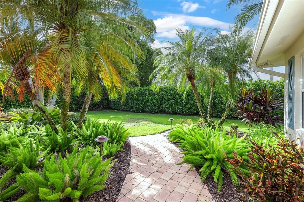 Privacy hedges and fencing in the rear yard