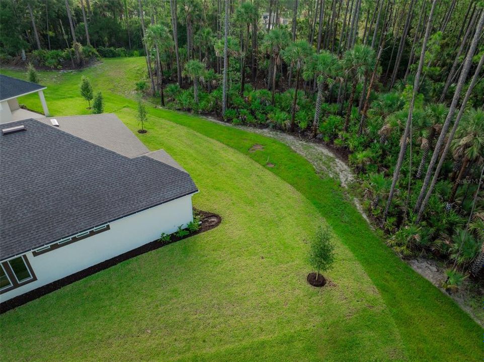 Aerial View of Backyard