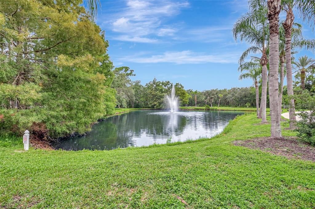 Gorgeous fountains surrounding the community