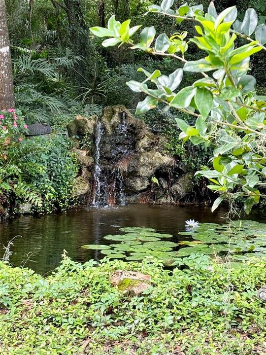 Large Koi Pond with Waterfall