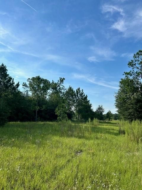 Active With Contract: $11,900 (1.01 acres)