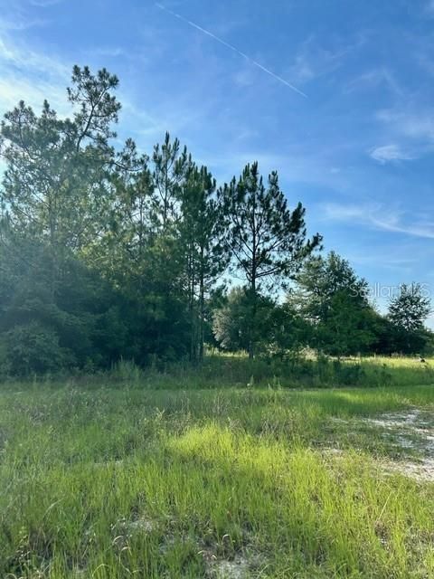 Active With Contract: $11,900 (1.01 acres)