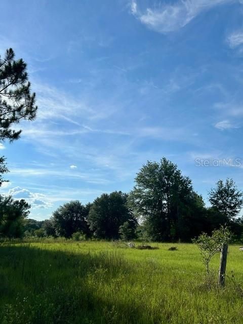 Active With Contract: $11,900 (1.01 acres)