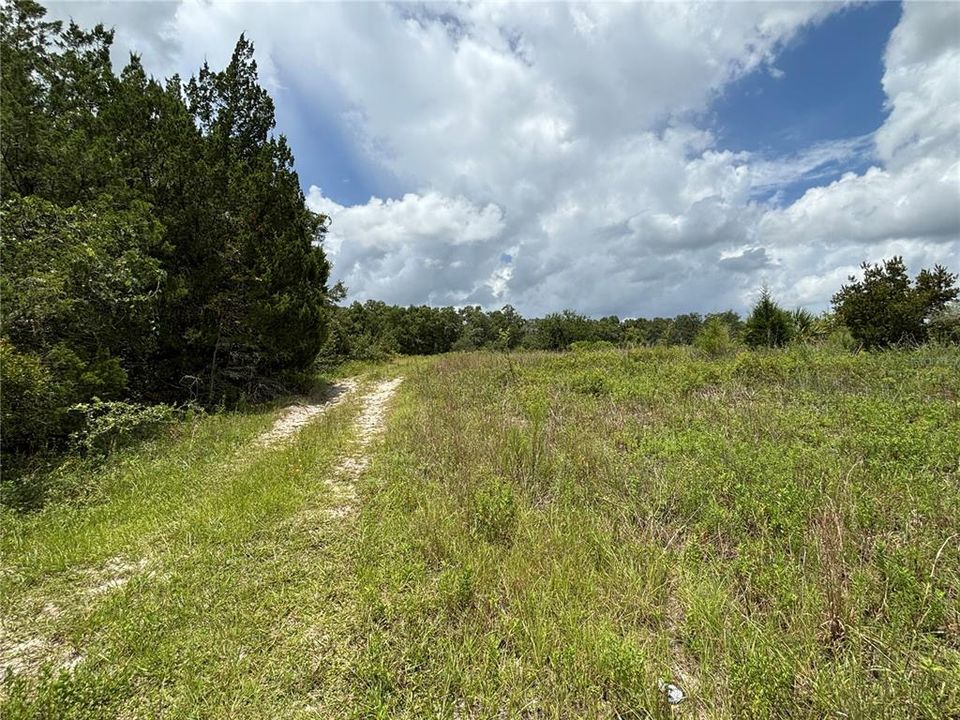 For Sale: $399,900 (11.70 acres)