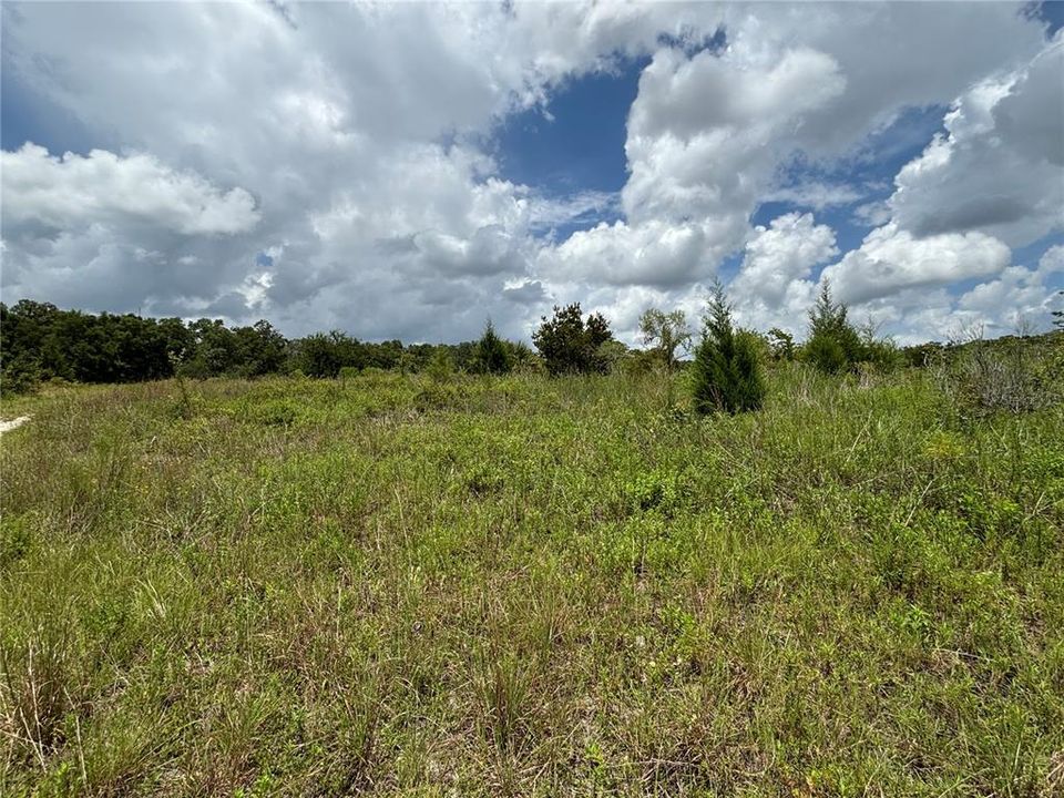 For Sale: $399,900 (11.70 acres)