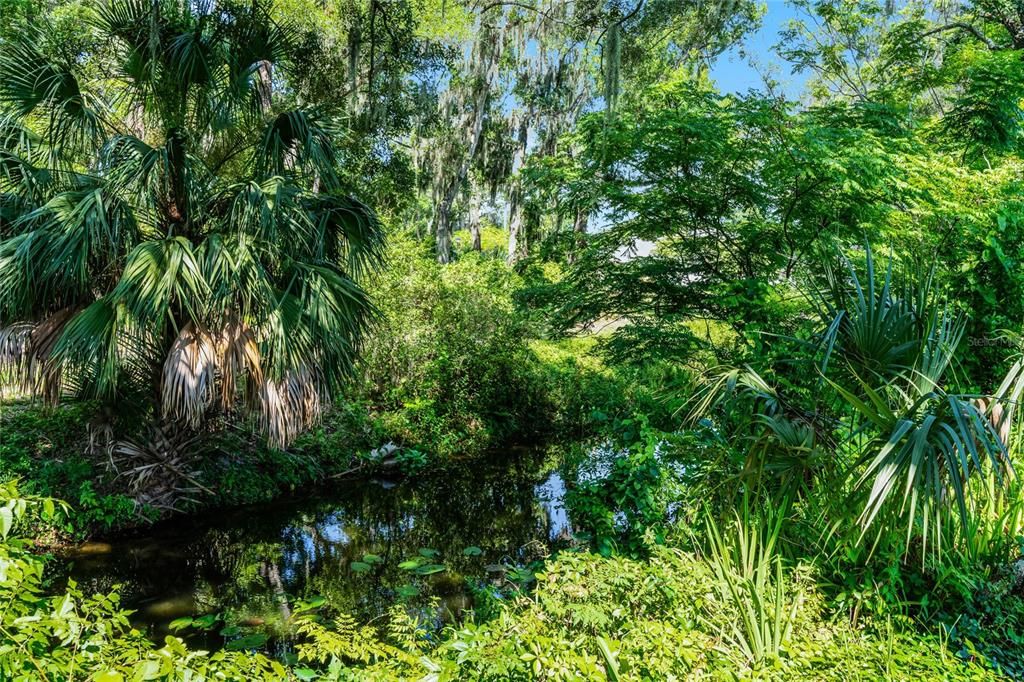 Little Wekiva River