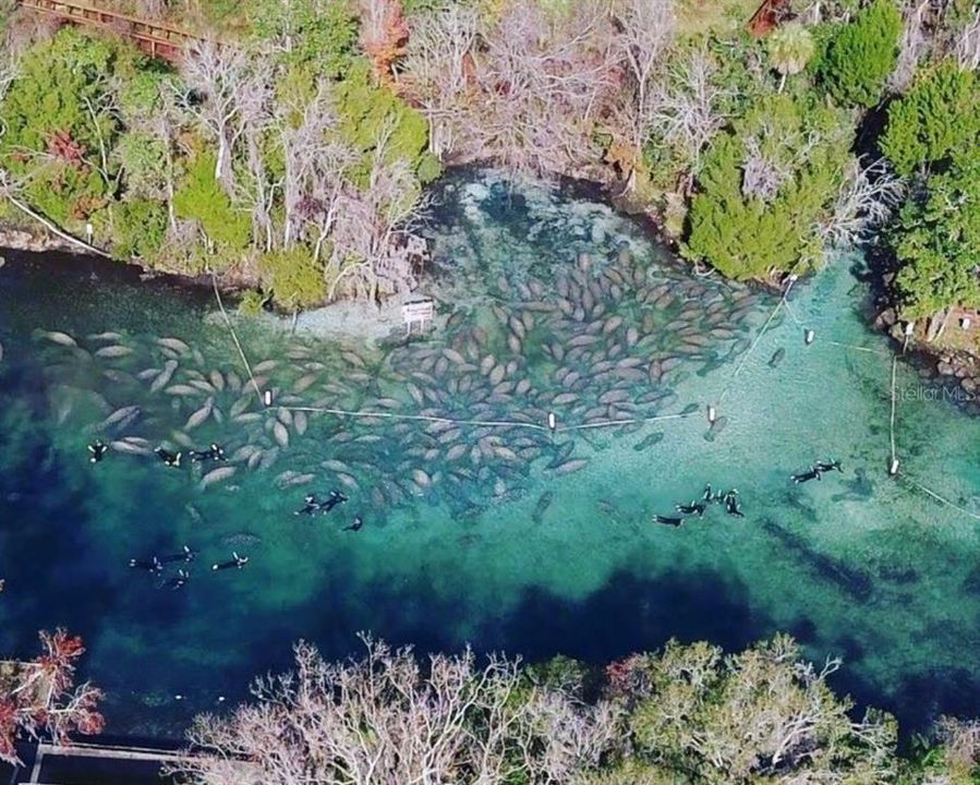 На продажу: $30,000 (0.41 acres)