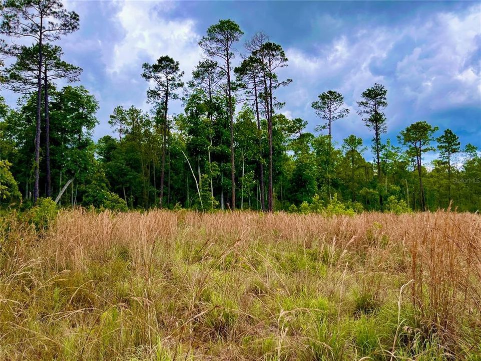 На продажу: $175,000 (13.83 acres)