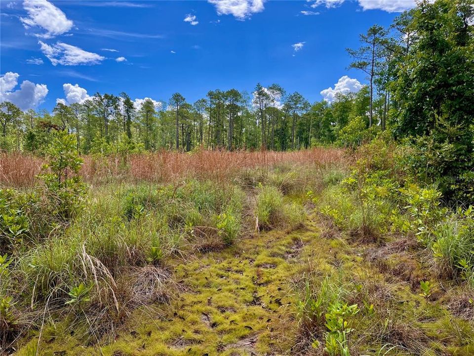 На продажу: $175,000 (13.83 acres)