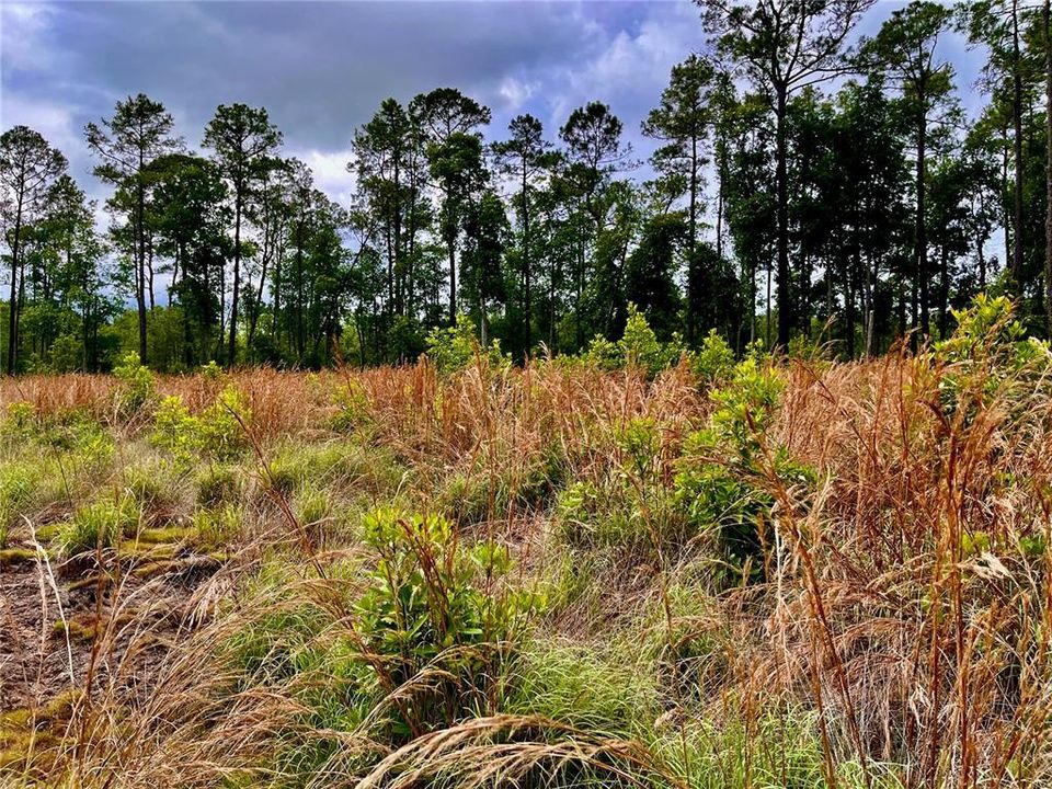 На продажу: $175,000 (13.83 acres)