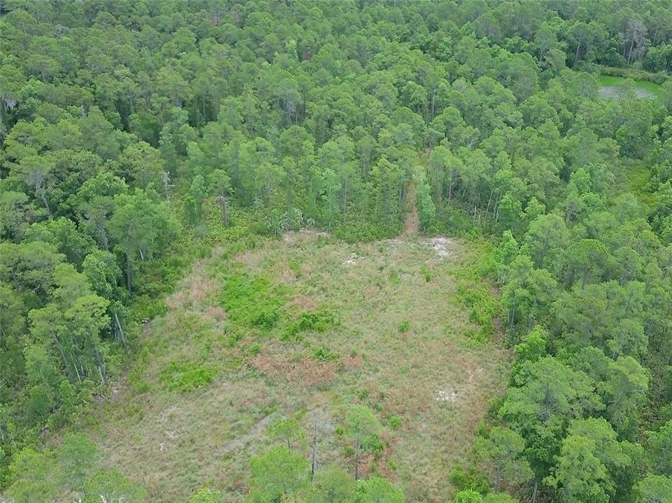 For Sale: $175,000 (13.83 acres)