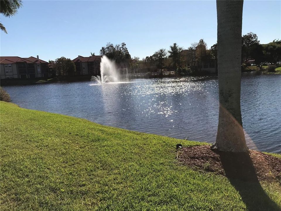 Lake w/Fountain