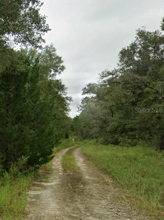 Active With Contract: $7,750 (0.23 acres)