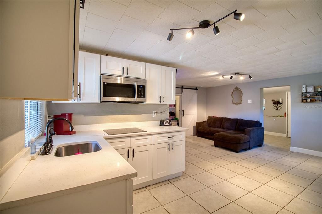 Gorgeous Quartz Counters