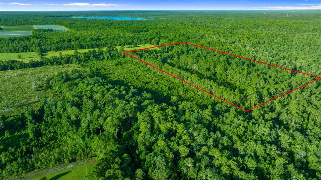 Active With Contract: $412,900 (20.96 acres)