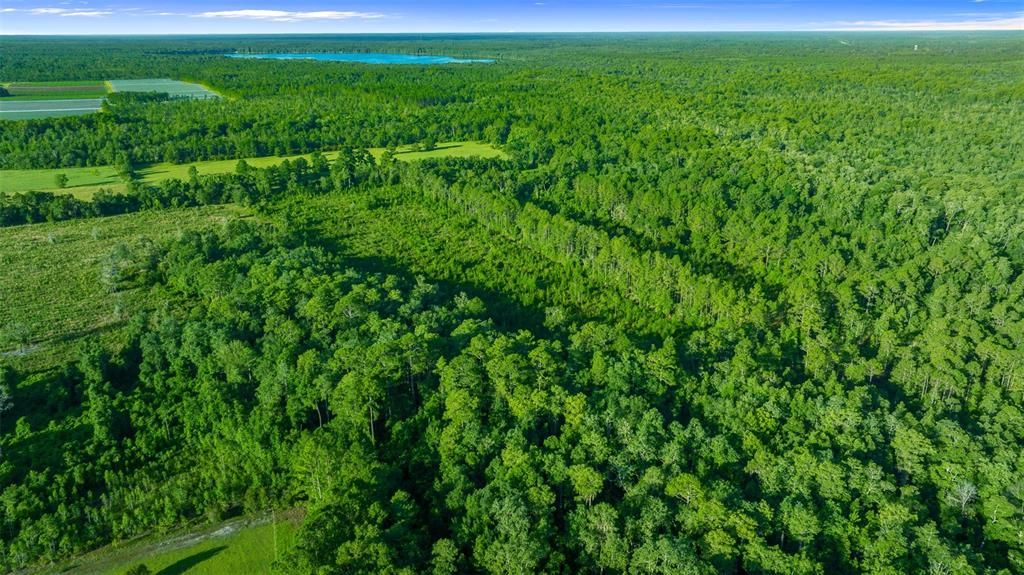 На продажу: $412,900 (20.96 acres)