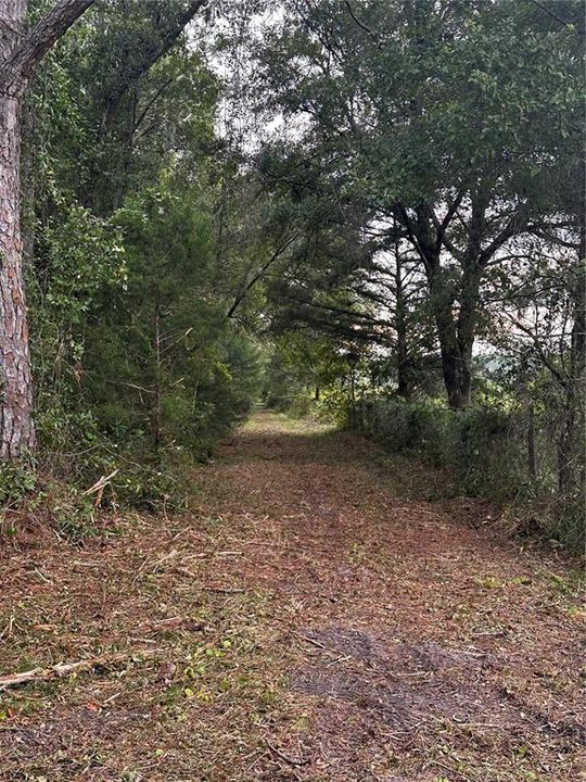 Active With Contract: $412,900 (20.96 acres)