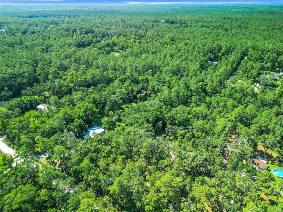 На продажу: $134,800 (3.17 acres)