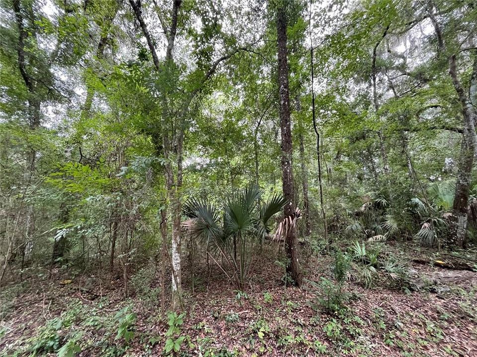 En Venta: $36,000 (0.40 acres)