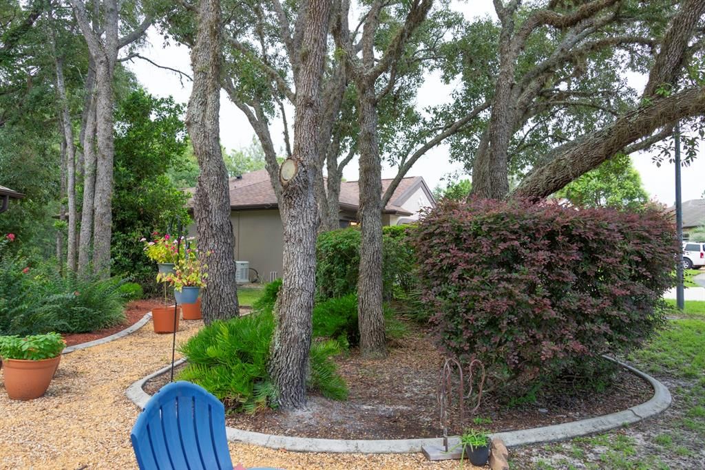 Mature trees and bushes