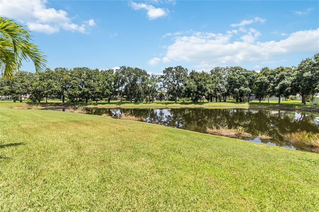 Backyard view of two lakes on a private lot, to enjoy all the wildlife sightings.