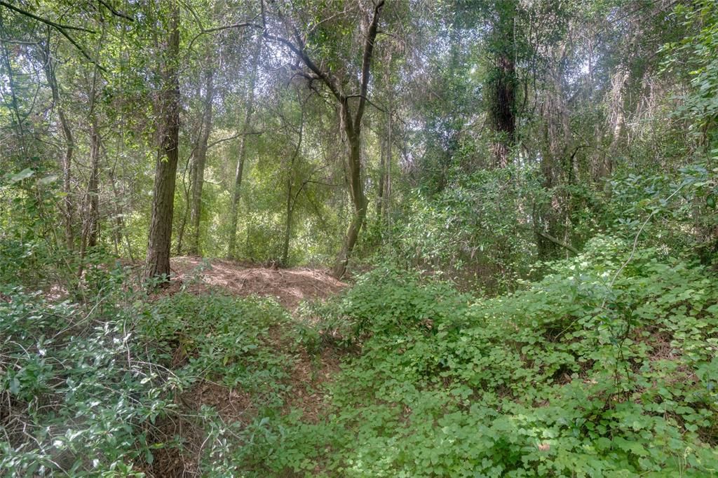 En Venta: $54,900 (0.38 acres)