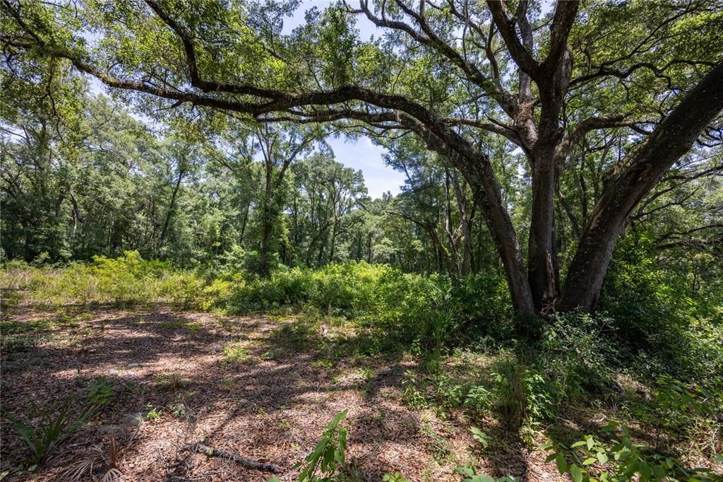 For Sale: $299,000 (5.40 acres)