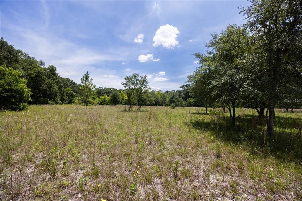 For Sale: $299,000 (5.40 acres)