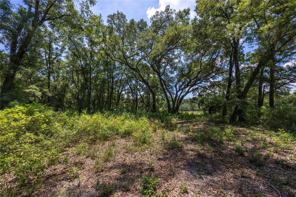 For Sale: $299,000 (5.40 acres)