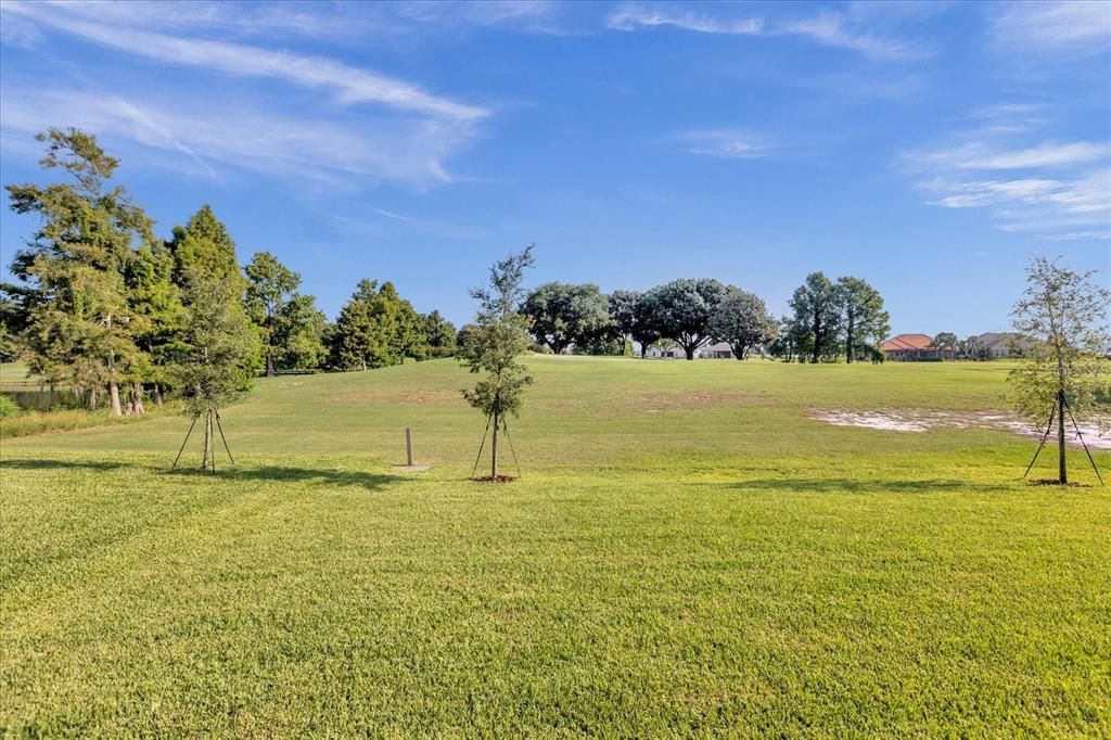 Backyard and golf course view