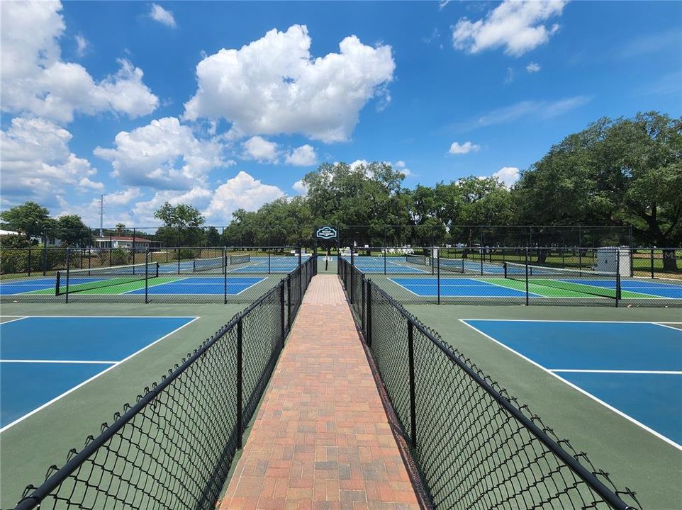 pickle ball & tennis.