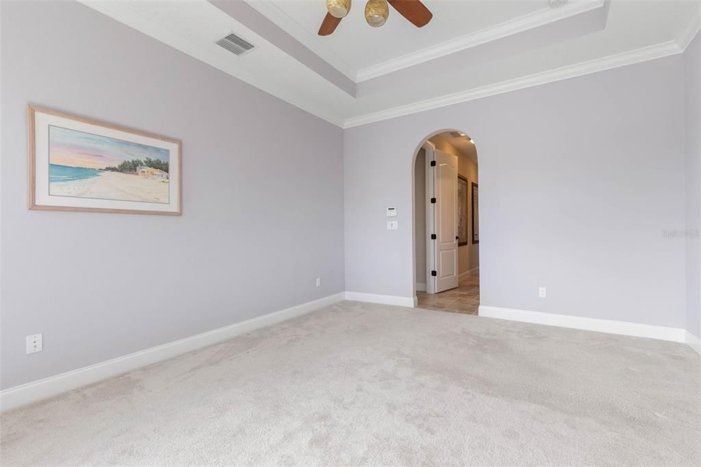 Primary bedroom with lots of windows and tray ceilings