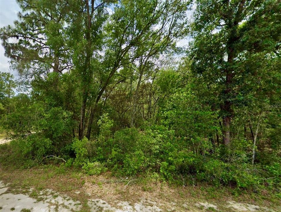 Recently Sold: $10,000 (0.19 acres)