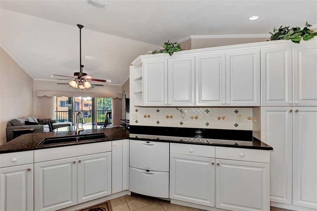 Double dishwasher with plenty of cabinets