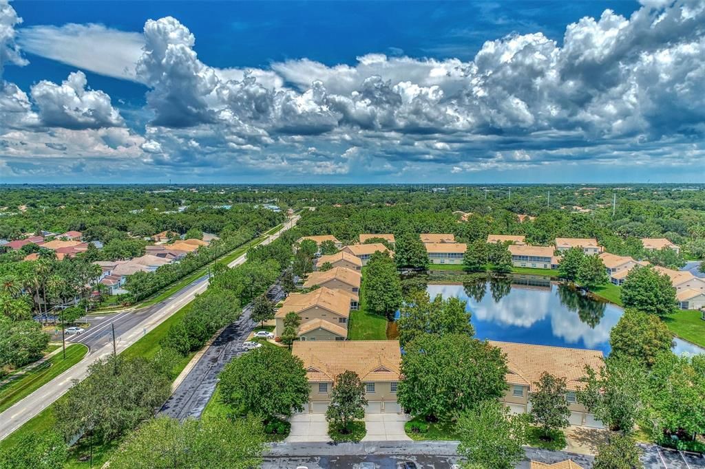 Aerial of Cypress Strand