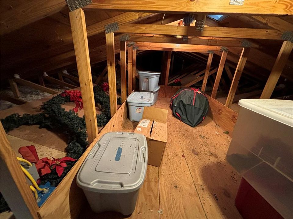 Garage Attic