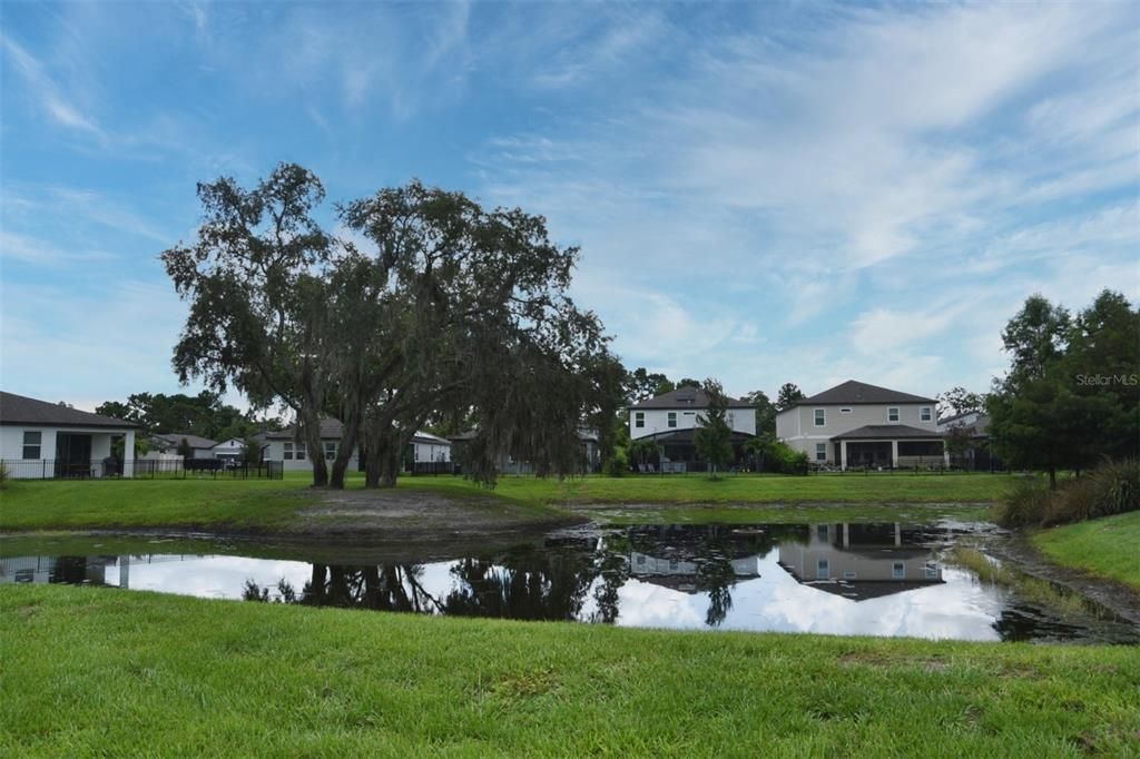 Pond on side and rear of property