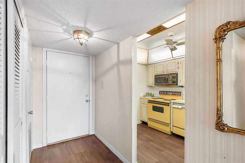 ENTRY DOOR AND FOYER WITH VINYL FLOORS