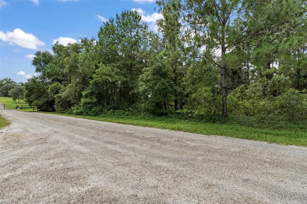 For Sale: $299,900 (13.36 acres)