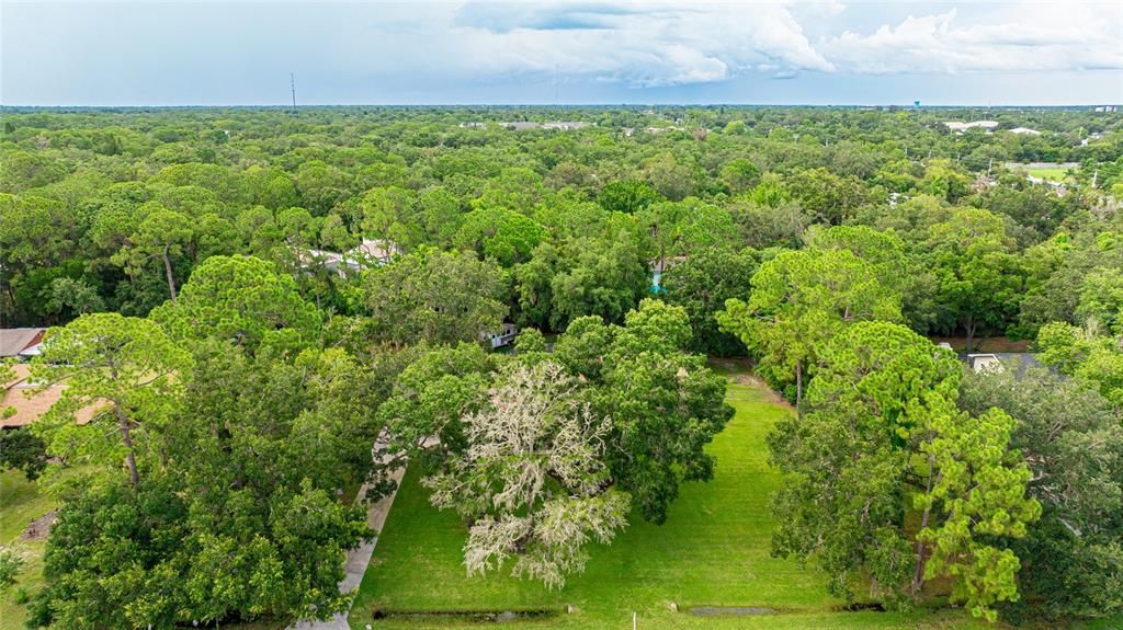 For Sale: $875,000 (3 beds, 3 baths, 2485 Square Feet)