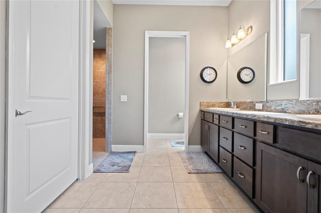 Master Bathroom Shower & Toilet