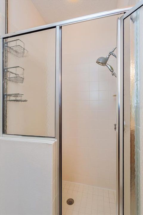 Primary bathroom shower