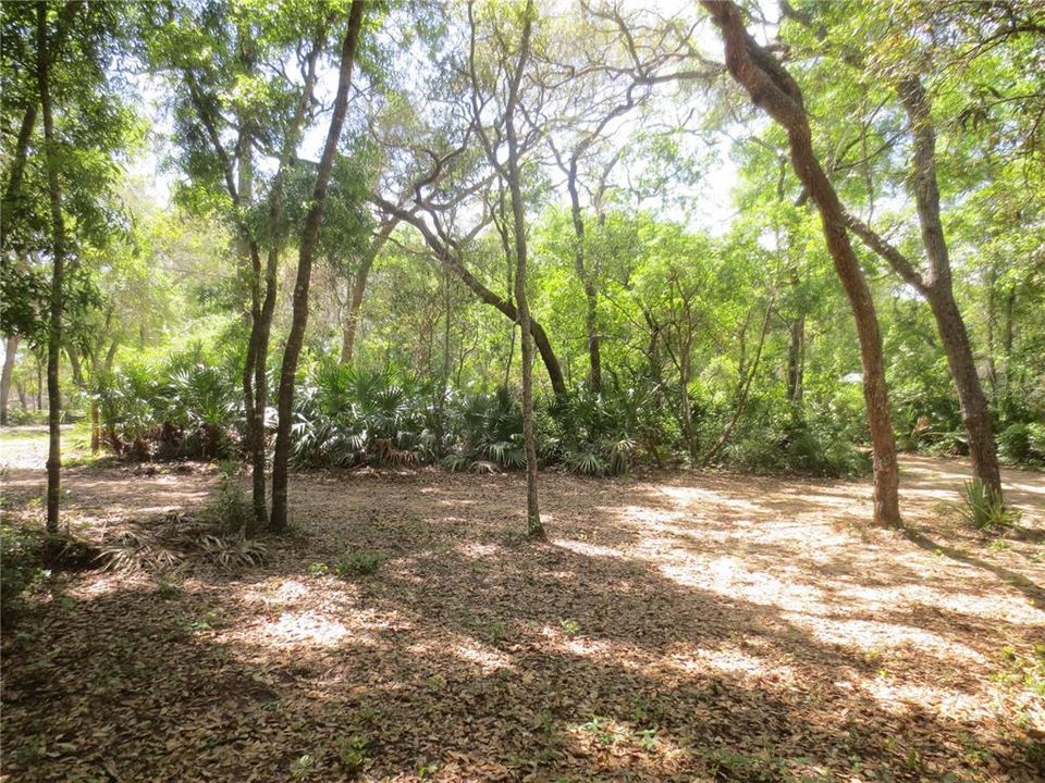 En Venta: $485,000 (15.37 acres)