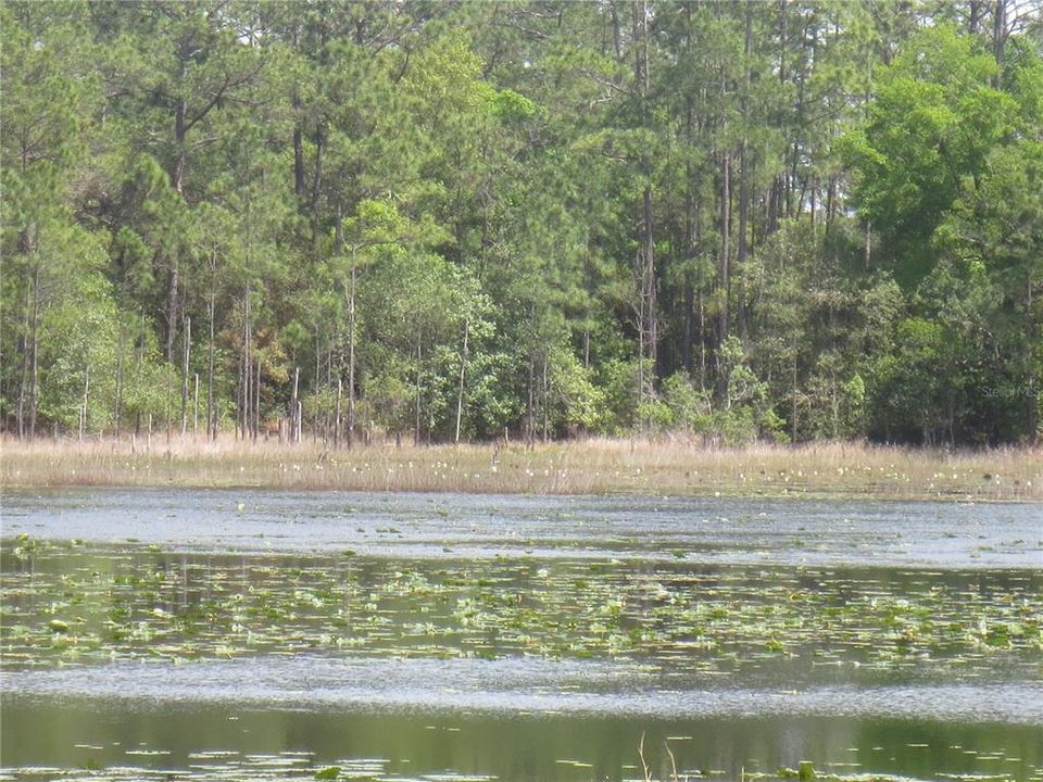 На продажу: $485,000 (15.37 acres)