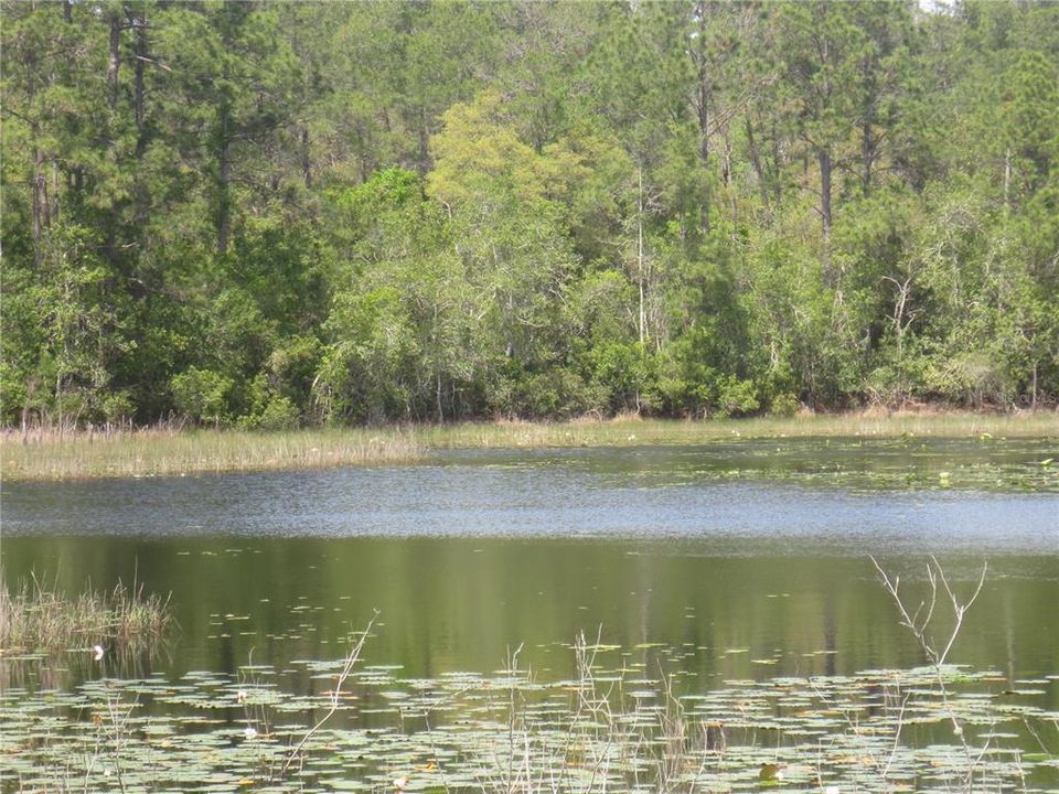 На продажу: $485,000 (15.37 acres)