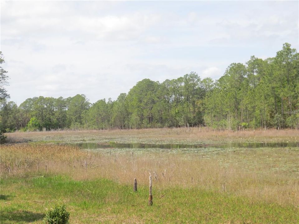 For Sale: $485,000 (15.37 acres)